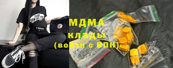 гашик Краснослободск
