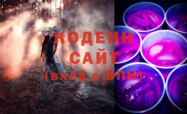 гашик Краснослободск