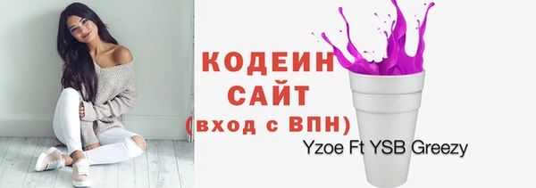 гашик Краснослободск