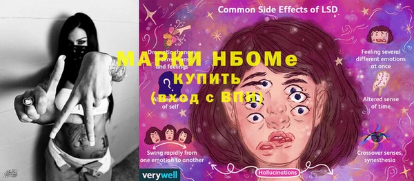 гашик Краснослободск