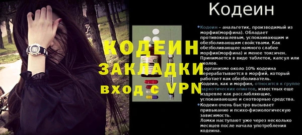 гашик Краснослободск