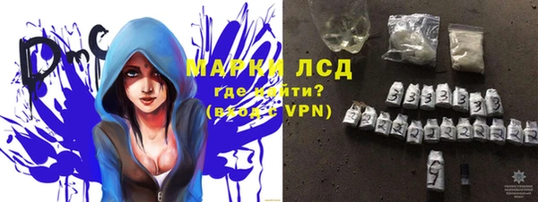 гашик Краснослободск