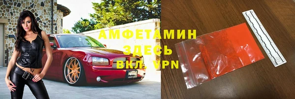 гашик Краснослободск