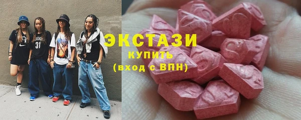 гашик Краснослободск